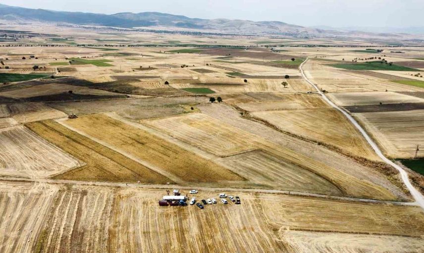 İlk hasat Denizli üretimi borsa-20 ile Afyonkarahisar'da gerçekleşti