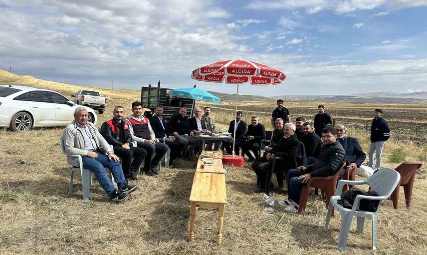 Kırsalda dönüşüm: Bulanık'ta çerezlik ayçiçeği tarlaları ürün verdi