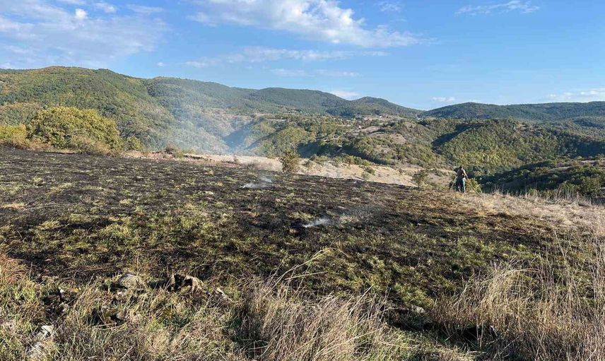 Ot yangını Eflani Çukurören'de yaklaşık 5 dönüm tarım alanına zarar verdi
