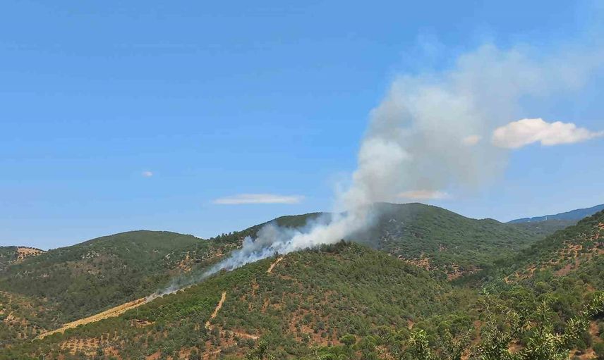 Burhaniye'de hava ve kara ekiplerinin erken müdahalesiyle orman yangını kontrol altına alındı