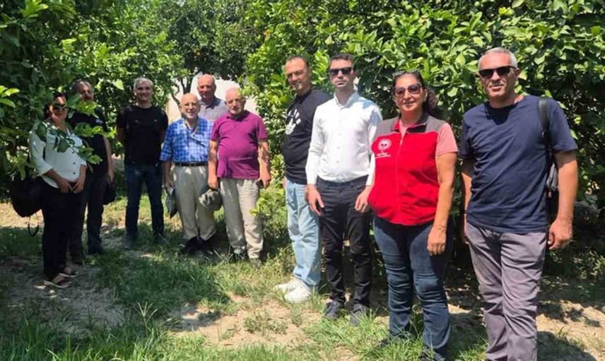 Muğla'da turunçgilde biyotop temelli sürdürülebilir mücadele sürüyor