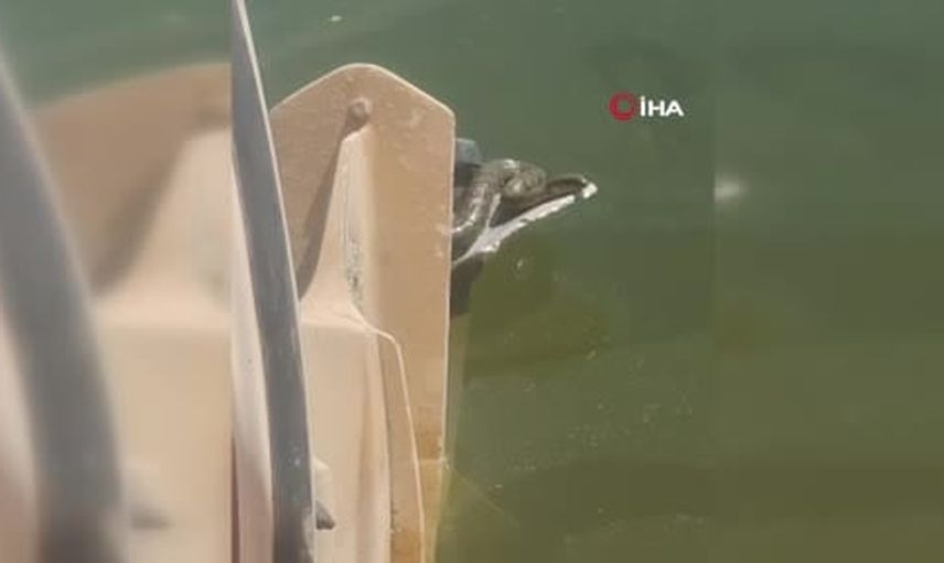 Kalecik Barajı gezisinde tekne motorunda yılan sürprizi