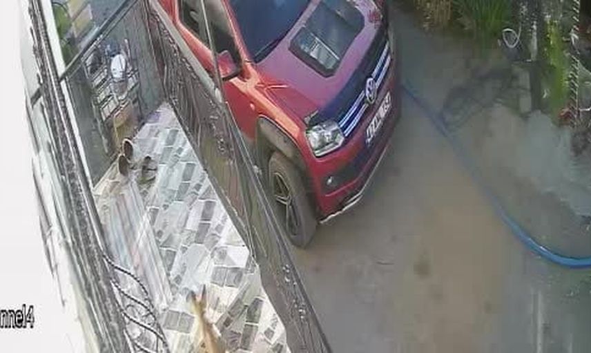 Konya'da kapı önündeki terliklerin gizemi tilkiye çıktı