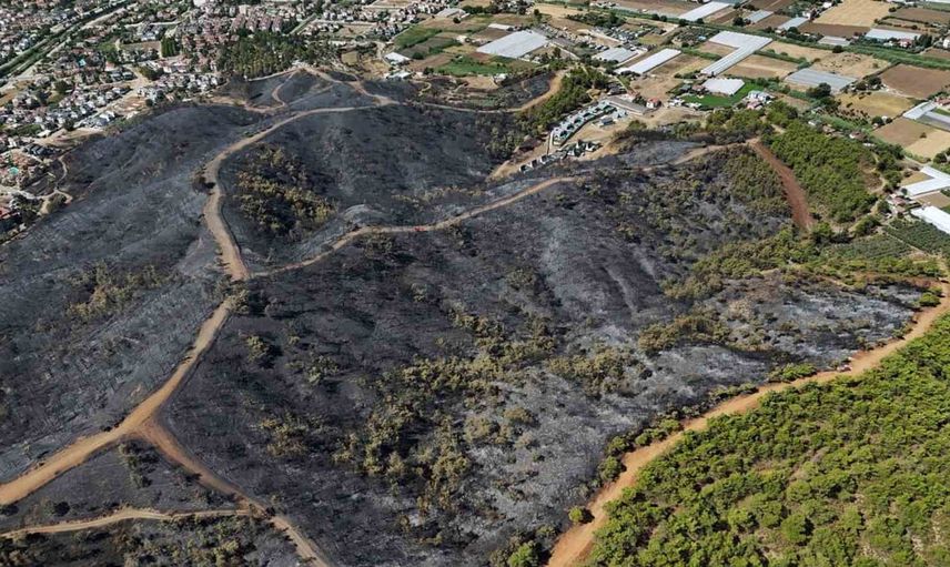 Fethiye merkezinde yeşil örtü yangında ağır tahribata uğradı