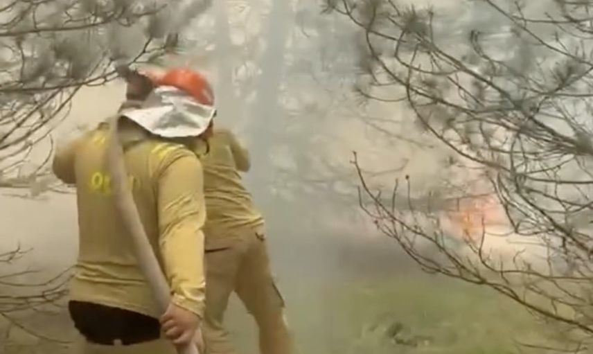 Taşköprü'de orman yangını ekiplerin hızlı müdahalesiyle söndürüldü