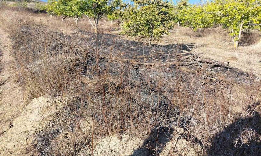 Yenipazar'da cevizlikte başlayan ot yangını ekiplerin müdahalesiyle sonlandıruldu