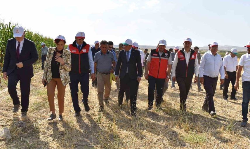 Tuşba'da çiftten tarlada uygulamalı silajlık mısır eğitimi