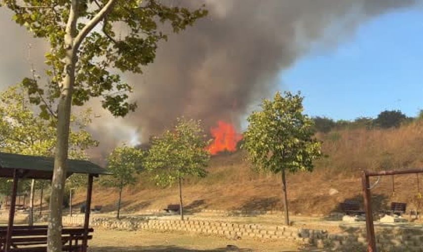 Büyükçekmece sahilinde yeşil alanda alevlerle mücadele sürüyor