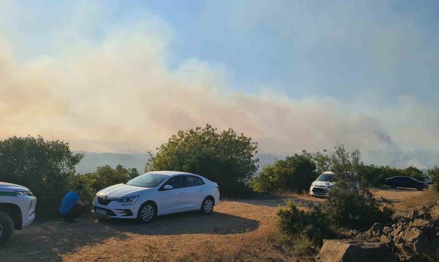 Gebze'de başlayan yangın ormanlık alana sıçradı, müdahale sürüyor