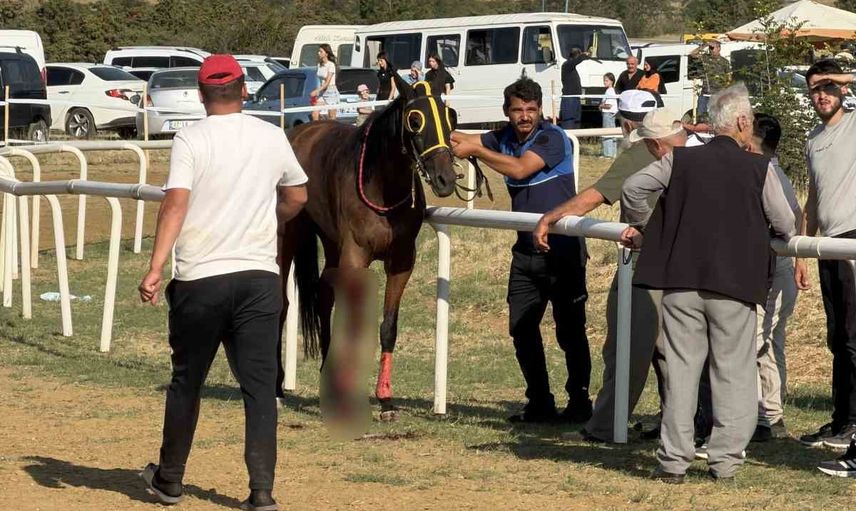 Taşköprü'de yarış sırasında çarpışma: iki at hayatını kaybetti, jokey son anda kurtuldu