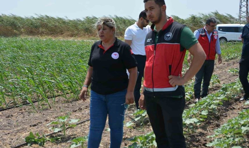 Hatay tarlalarında tohum takibi: üretim ve sürdürülebilirlik yerinde değerlendirildi
