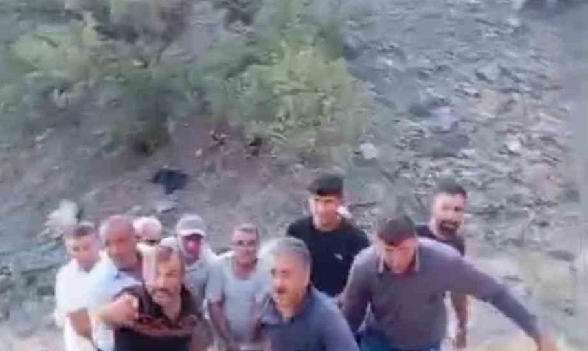 Dağın eteklerinde 3 gün direnen büyükbaş kurtarılamadı