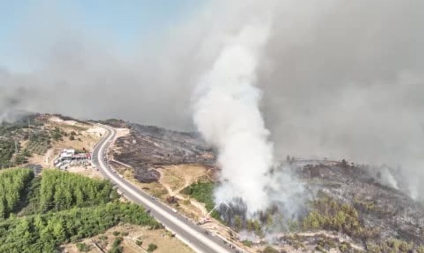 Kumluca Yazır'daki Yangında Antalya Büyükşehir’den Hayvanlara Yerinde Müdahale