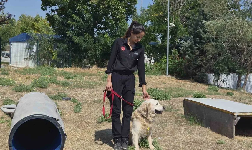 Afet hazırlığında gönüllüler sahada: AFAD İstanbul'da 17 bine yakın kişi saha eğitimini tamamladı