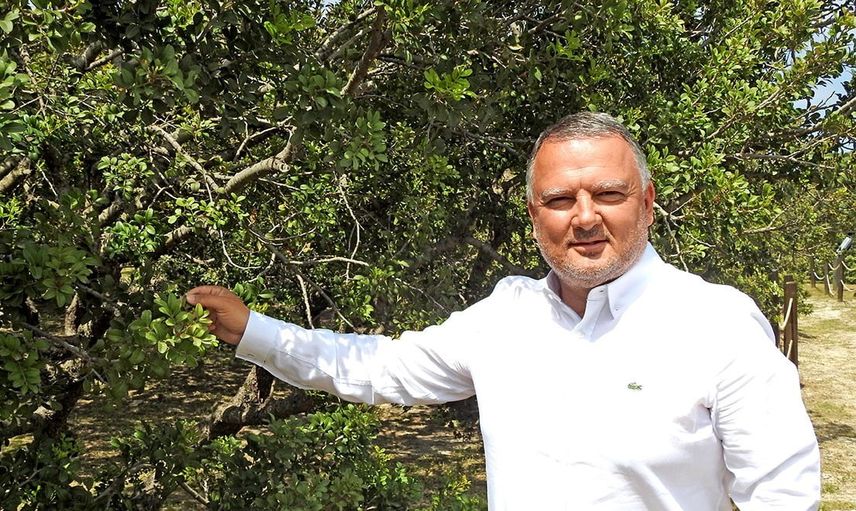 Çeşme damla sakızı uluslararası bilimsel literatürde yer aldı