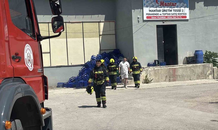 sineklere karşı dumanlanan mantar tesisi yangın zannedilince alarm verildi