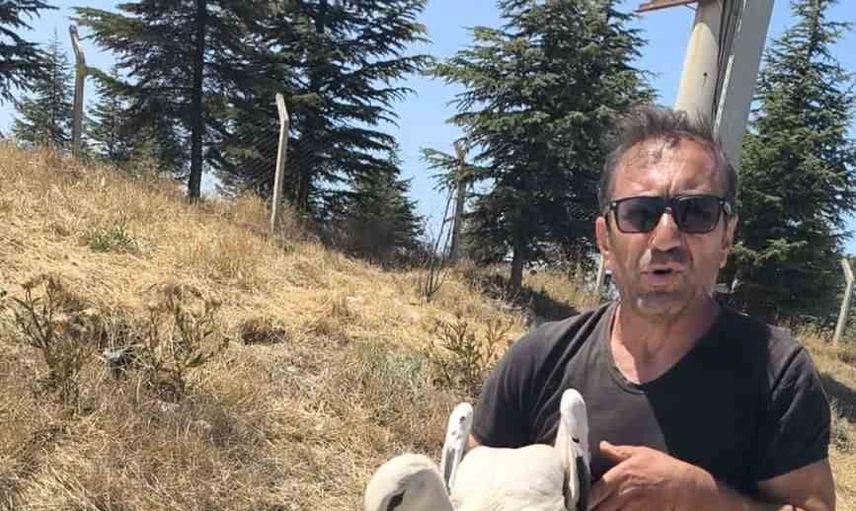 Çöplükte yaralı leylek 4 gündür sahipsiz bekliyor