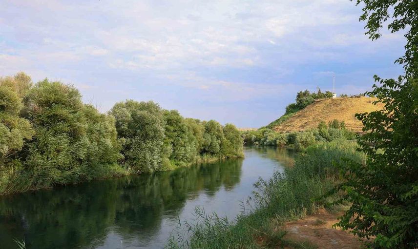 Karkamış'ı kuşlar ve tarih buluşturuyor