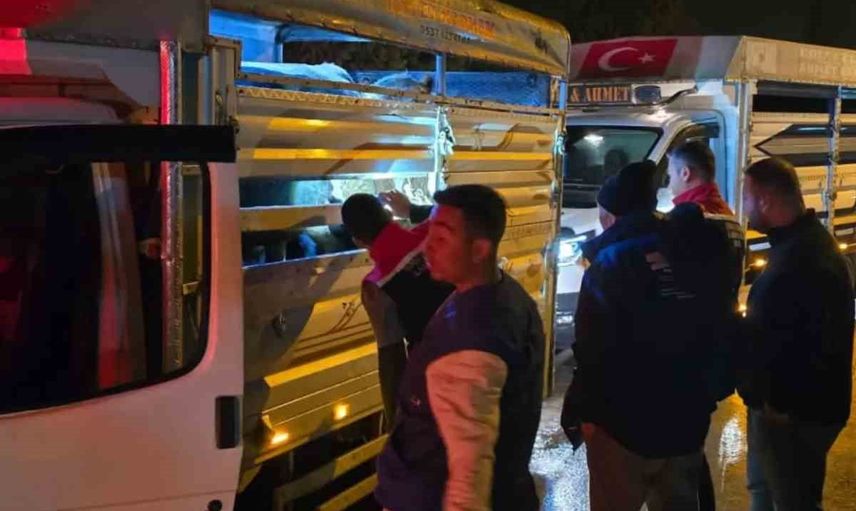 Çine'de hayvan ticaretine sağlık odaklı dönüş