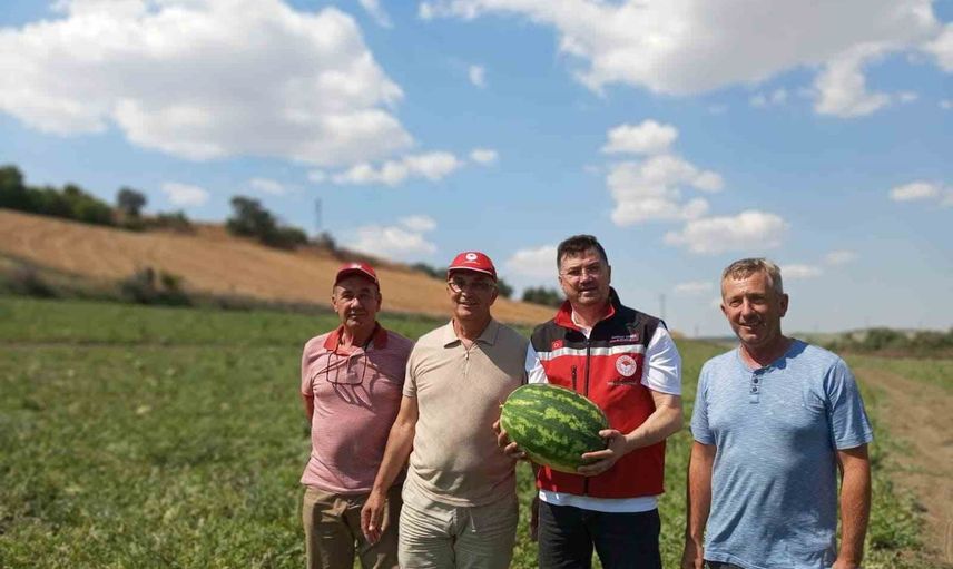 Yazın lezzeti erken geliyor: Tekirdağ karpuzu tarladan tezgâha hazırlanıyor