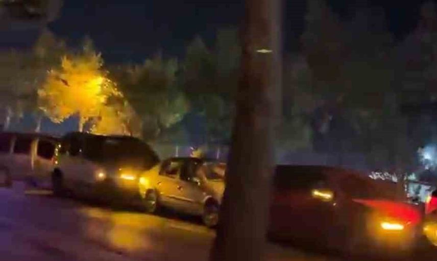 Yol üzerindeki iki köpek beş aracın karıştığı zincirleme kazayı tetikledi