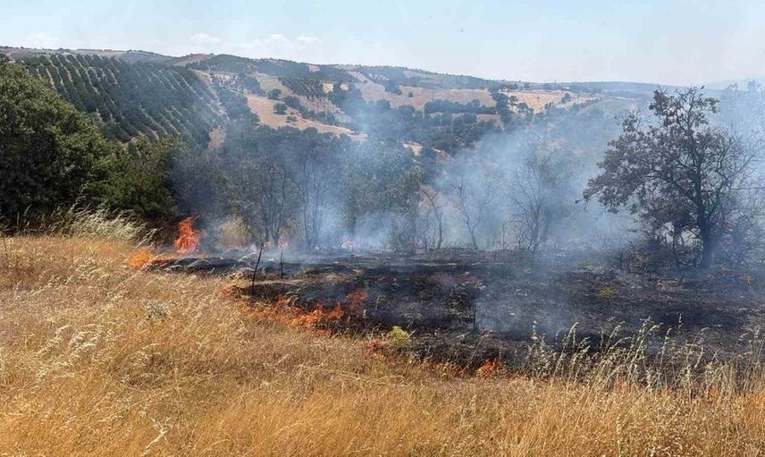 Gördes'te tarla yangını ormana sıçradı, hızlı müdahale yangını kontrol altına aldı