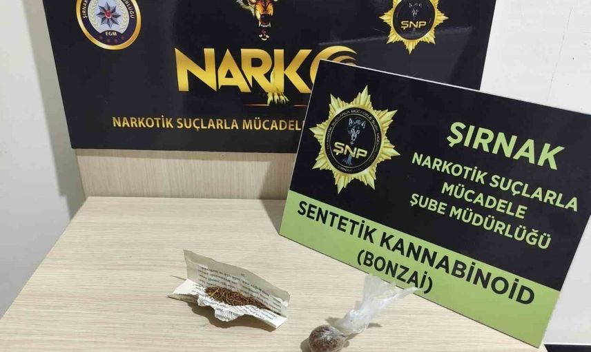 Şırnak’ta hafta boyunca geniş çaplı operasyon: 104 yakalama, 9 tutuklama