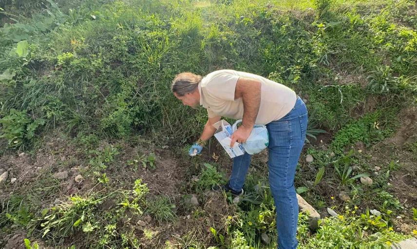 Kampüste bir gün: Kastamonu Üniversitesi akademisyenleri ve öğrencileri çevre temizliği yaptı