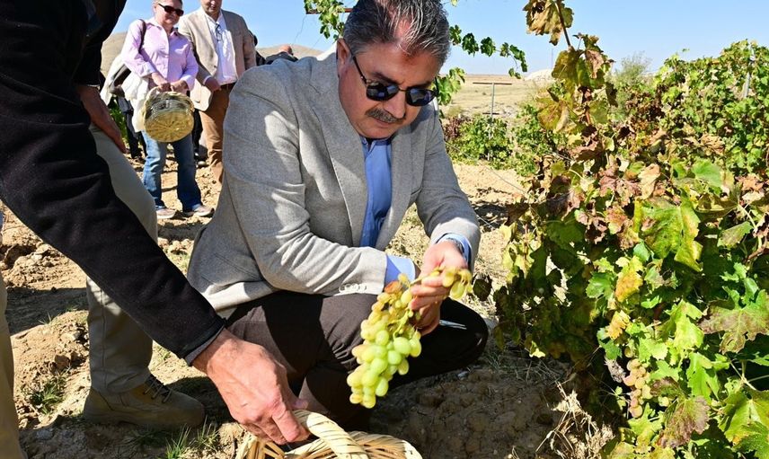 Bağ bozumu geleneği Gecek Mahallesi'nde protokolün pekmez kazanında canlandı