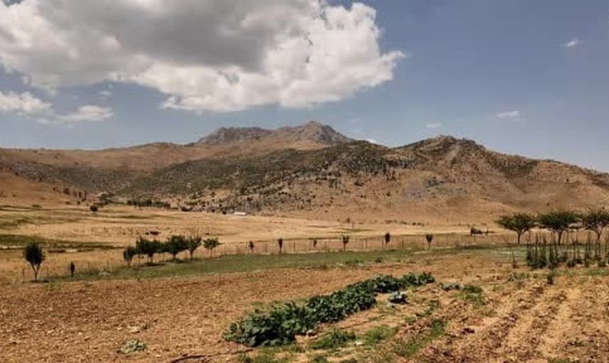 Cevizdalı halkı yeniden Bitlis'e bağlanma talebini yeniledi