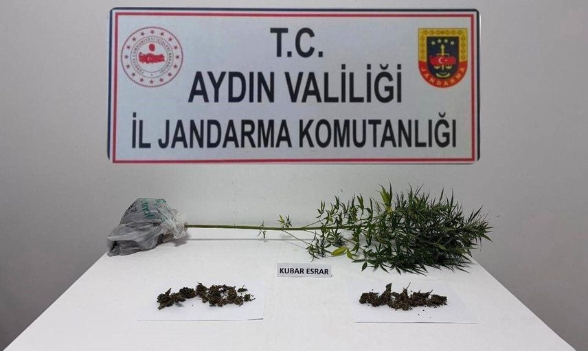 Söke'de jandarmanın köpek destekli aramasında kenevir ve kubar esrar bulundu