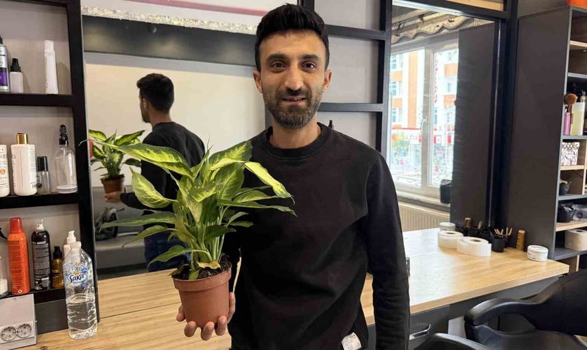 Süs bitkisi difenbahya evde tehlikeye dönüştü: 2 yaşındaki çocuk yoğun bakımda