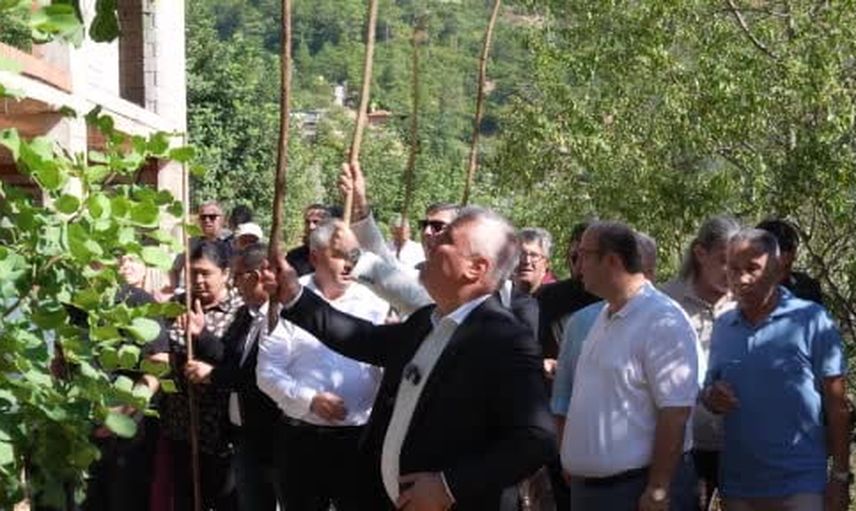 Alanya'da keçiboynuzu şenliği, 'en ağır keçiboynuzu' yarışmasıyla renklendi