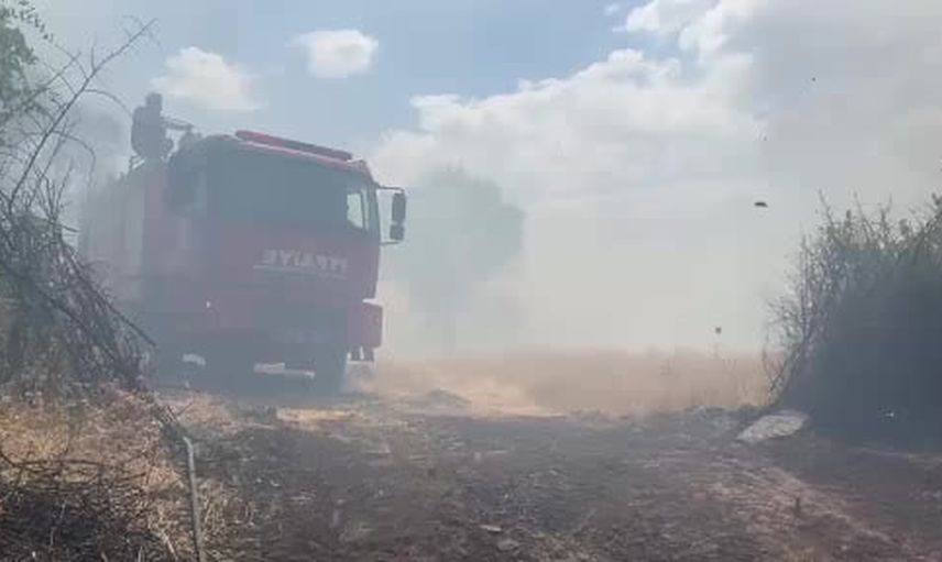 Lice kırsalında örtü ve orman yangını yaklaşık 400 dönümü etkiledi