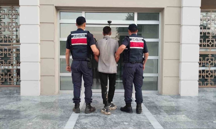 Germencik'te incir hırsızlığı suçüstü önlendi
