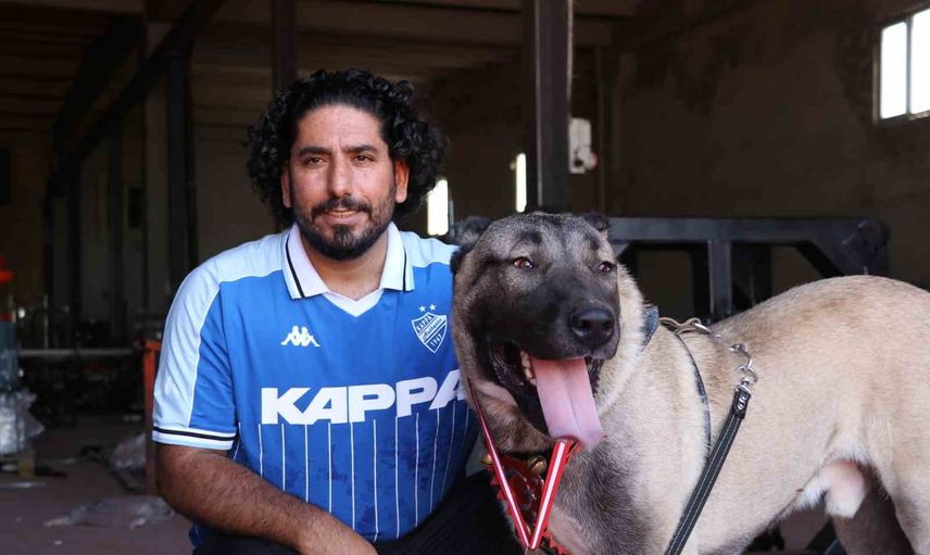 Sanayiden podyuma: Bozok kangal yarışmasında birinci oldu