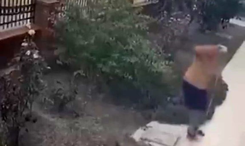 Anne kedinin yavrularını koruma anı Bayraklı'da kameraya yansıdı