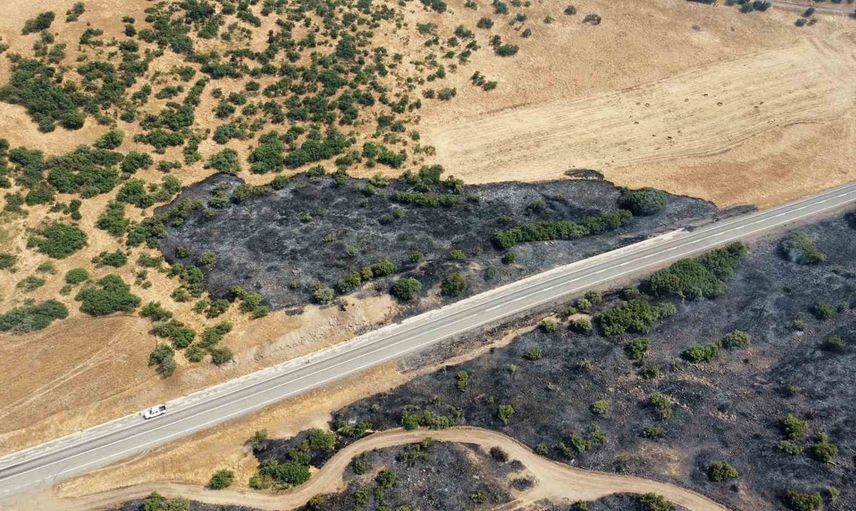 Karakoçan'da kırsal alanda başlayan yangın ormanlık alana sıçradı