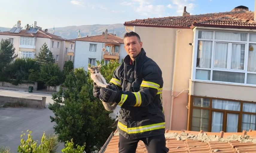 çatıdaki minik misafir itfaiye ekiplerince kurtarıldı