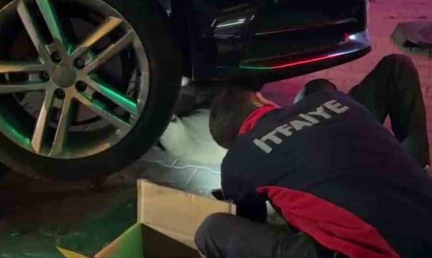 Yolculuk sırasında motorun içinde sıkışan yavru kedi kurtarıldı