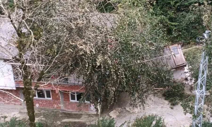 Rüzgârın darbeleri artvin'de yapılara ve altyapıya zarar verdi