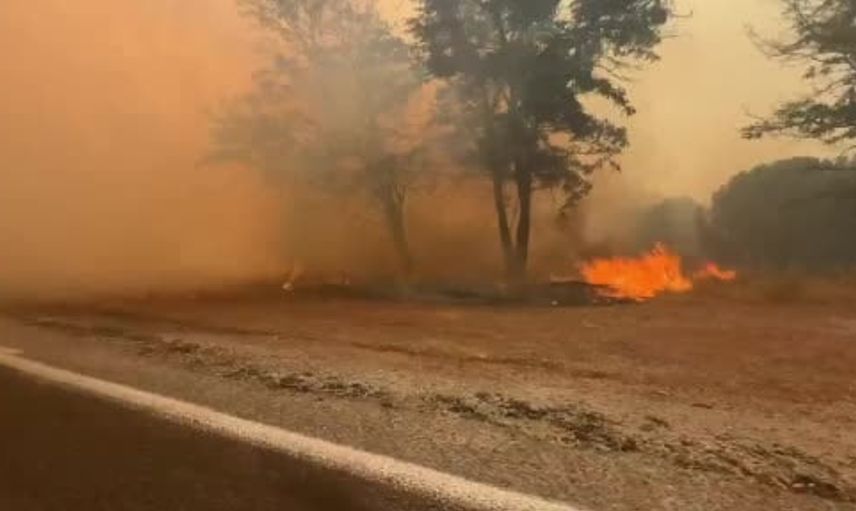 Balıkesir Yangını Bergama Sınırına Ulaştı: Gazeteciler Alevlerden Zor Kurtuldu