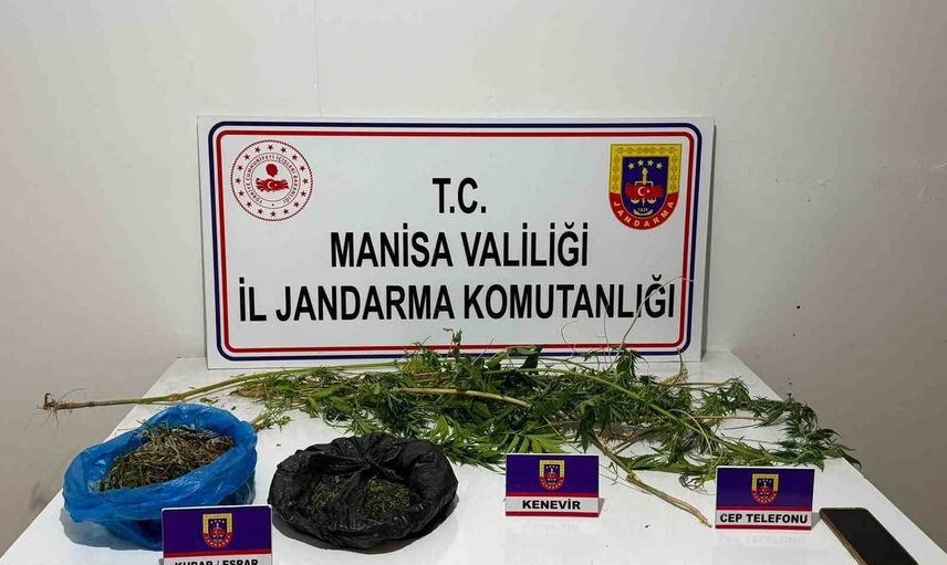 sarıgöl'de jandarma baskınında 352 gram esrar ve 44 kök kenevir ele geçirildi