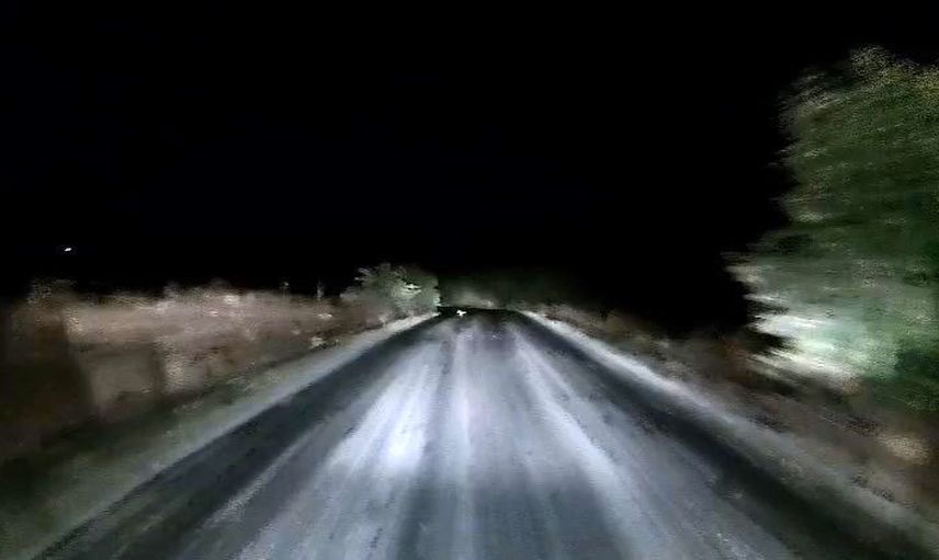 Edirne'de Bosna köyü yolunda farlara yakalanan tilkinin kıvrak kaçışı kamerada