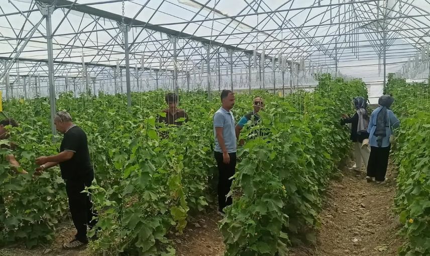 Erzincan'da tarladan laboratuvara: geleceğin tarım uzmanları yetişiyor