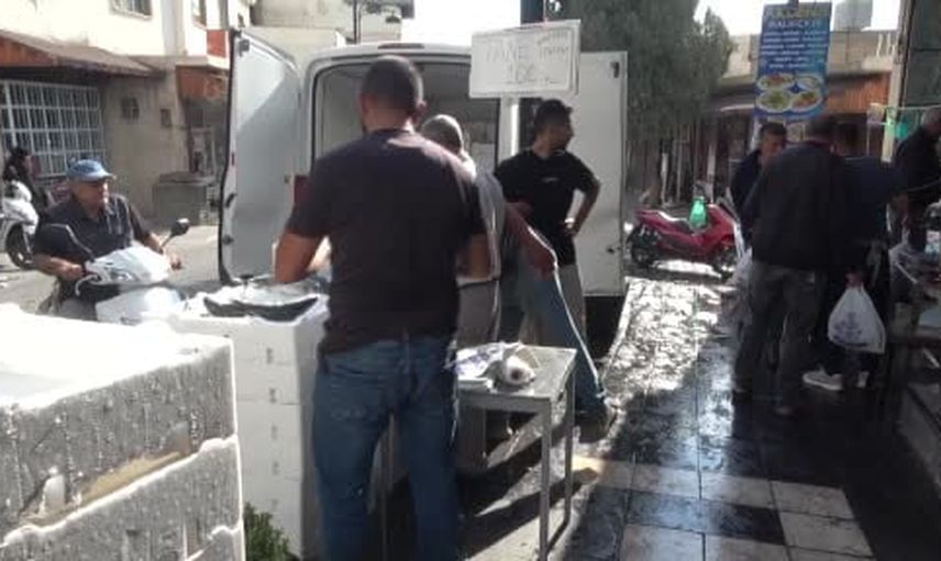 Kilis'te palamut kampanyası başladı: tanesi 100 liraya satışa sunuldu