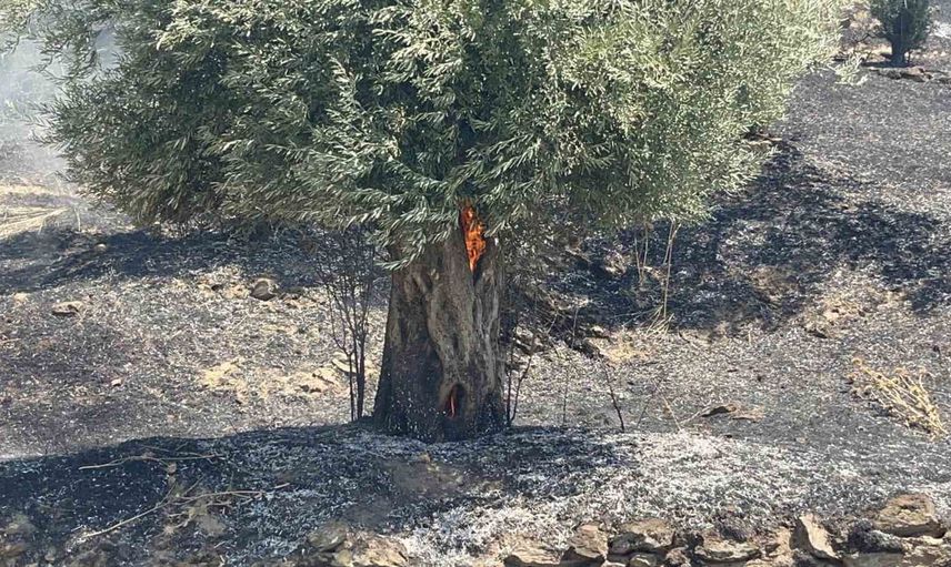 Yusuflu'da çıkan orman yangını koordineli müdahale ile kontrol altına alındı