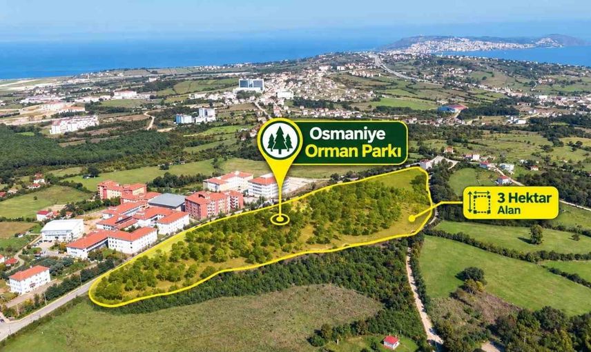 Sinop'a yeni soluk: 3 hektarlık Osmaniye Orman Parkı yüzde 70 tamamlandı