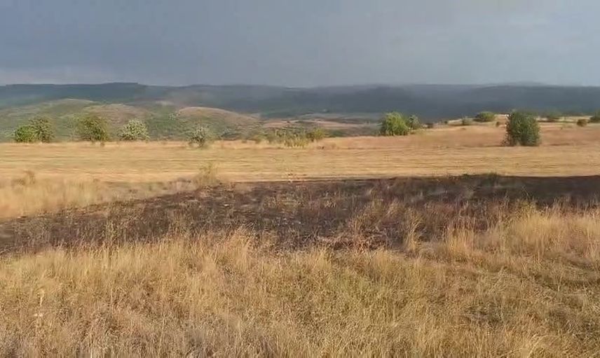 Gerede'de yağışta yıldırımdan alevlenen ağaç, itfaiye müdahalesiyle söndürüldü