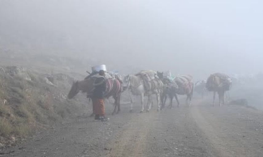 yayladan iniş başladı: şırnaklı göçerler sis içinde 20 günlük yolculuğa çıktı